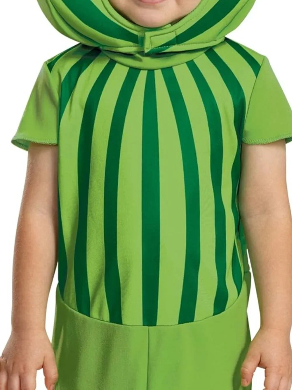 NWT Cocomelon Watermelon Kids Costume Disguise size 2T or 3T-4T